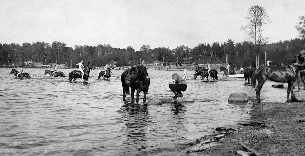 Muun muassa tämä kuva on mukana näyttelyssä. Kuvan kuvaaja E. G. Lehtinen, lähde Etelä-Karjalan museo.