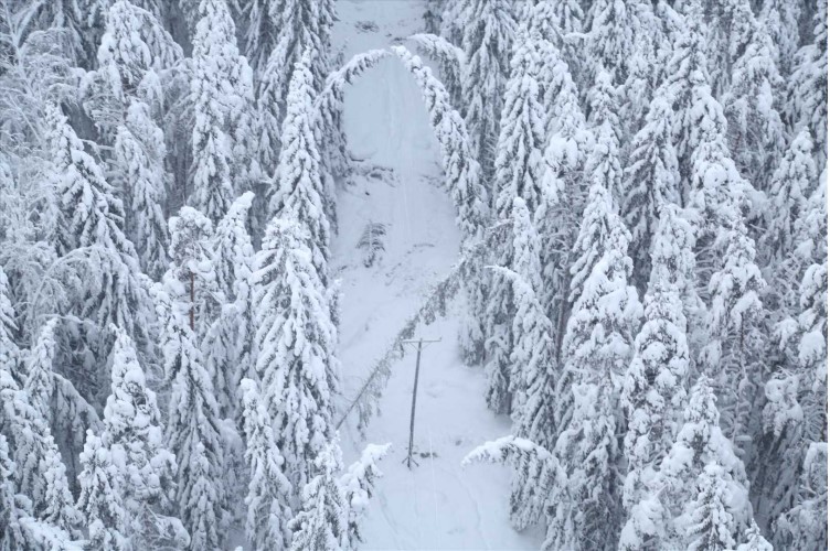 Energiaverkot-helikopteri-tarkastaa-sahkolinjoja