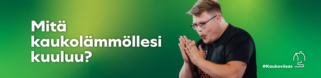 Kaukoviisas Tarkastus kotitalouksille 2024