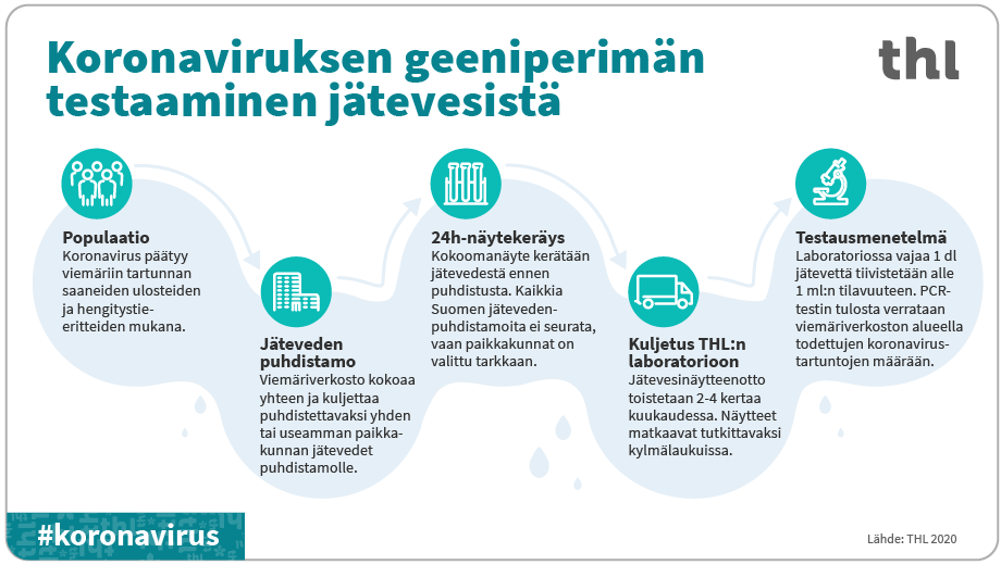 THL-korona-jatevesi-prosessi