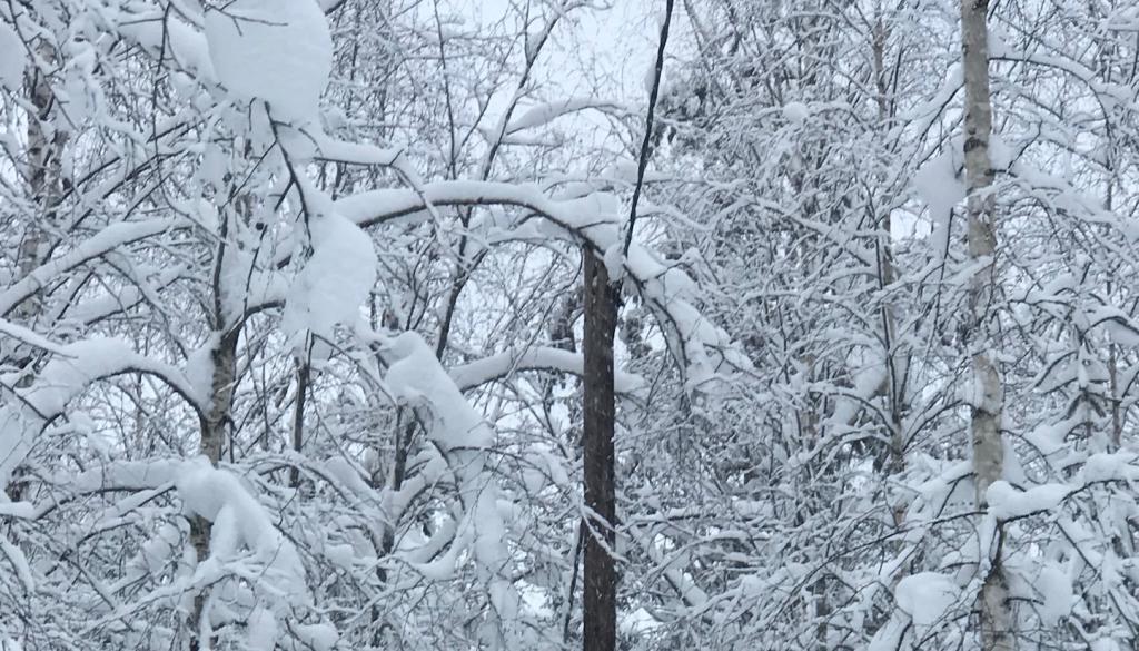 energiaverkot-tykkylumioksa-pienjannitelinjalla