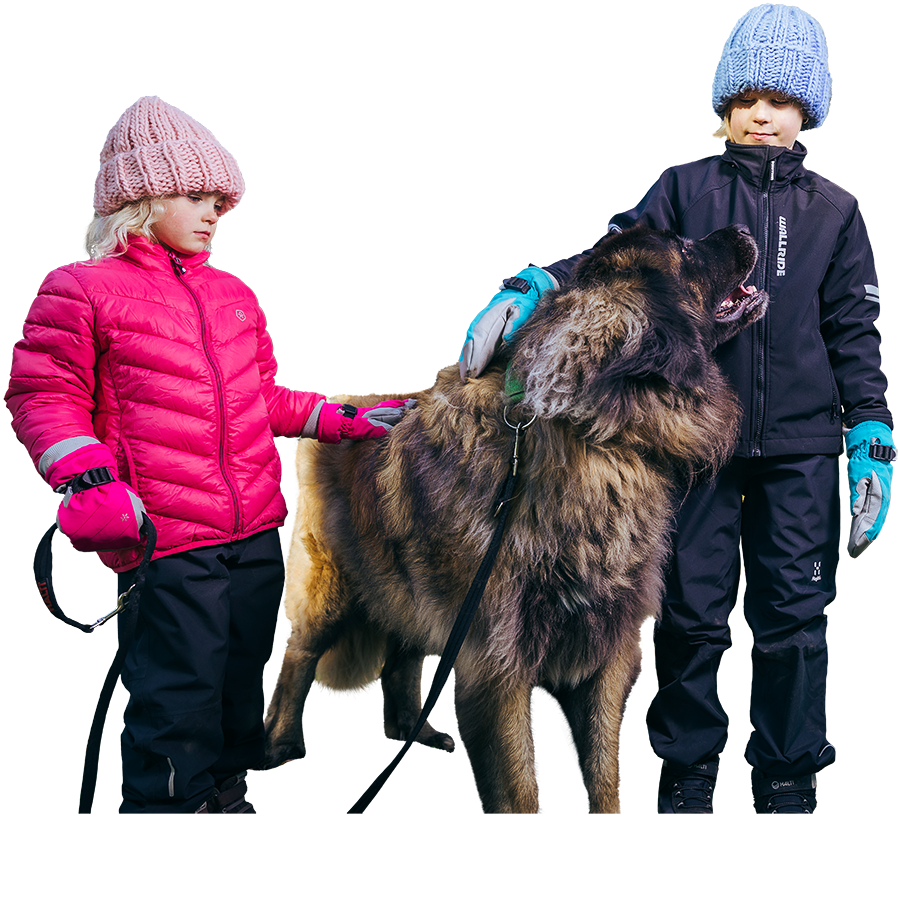 Lappeenrannan Energia - Elämää & Energiaa