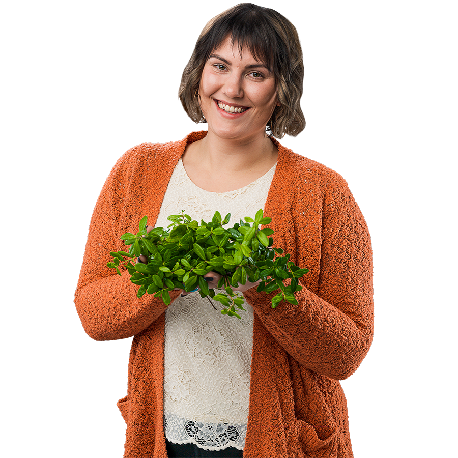 Öljylämmityksestä kaukolämpöön