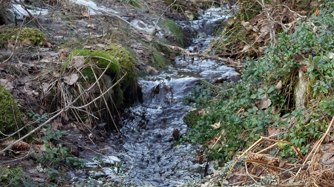 Kaupunkivedet hallintaan - Lappeenrannan Energiaverkot ja kaupunki