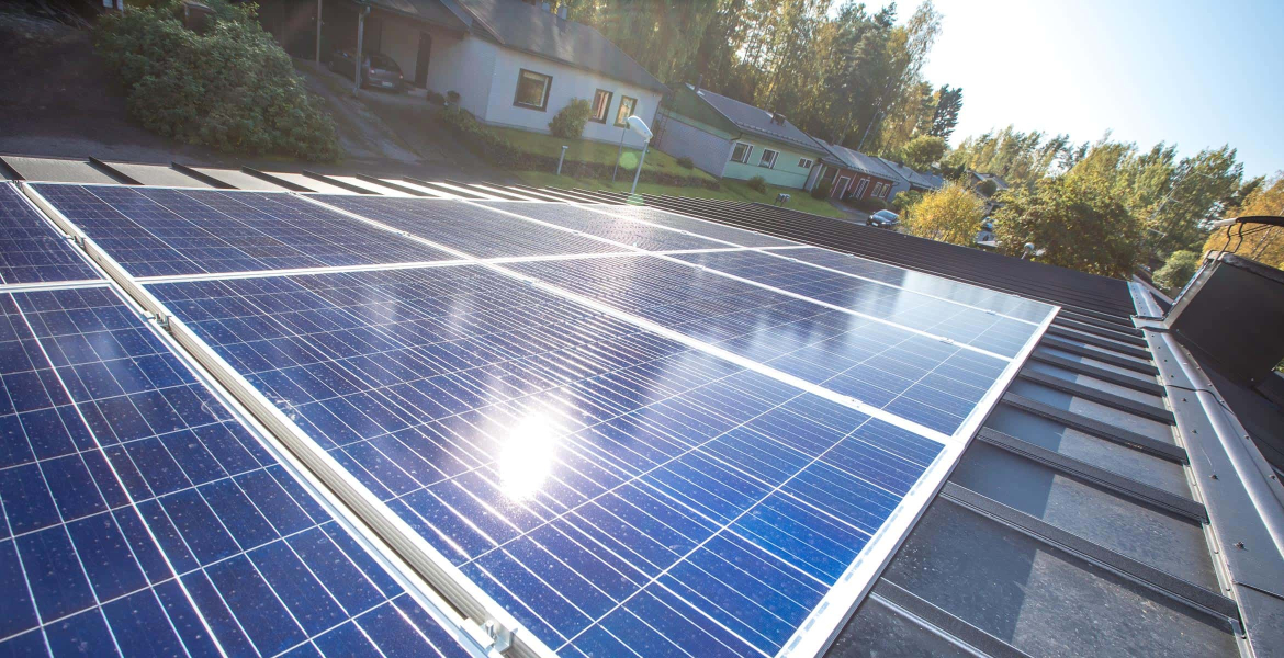 Pientuotannon netotuksella lisää tuottoa