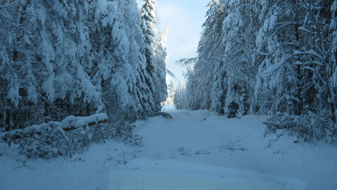 Energiaverkoilla ei ilmennyt iltapäivällä uusia vikoja.