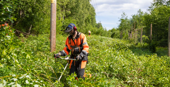 Säävarma sähköverkko - Lappeenrannan Energia