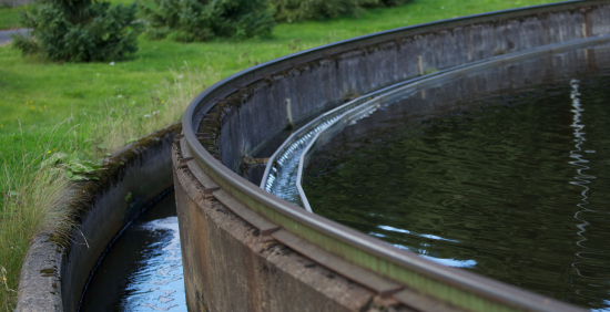 Kuvituskuva Toikansuon jätevedenpuhdistamolta. 