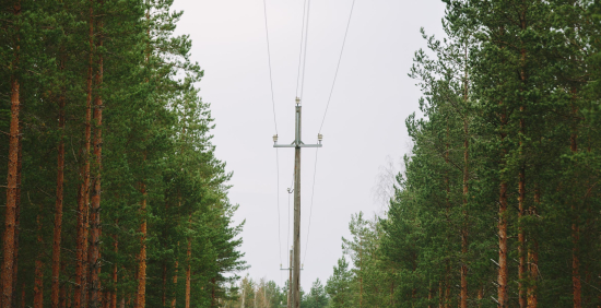 Lappeenrannan Energiaverkot ja Enerva kohottavat valmiutta mahdollisen syysmyräkän aiheuttamien sähkökatkojen varalle.