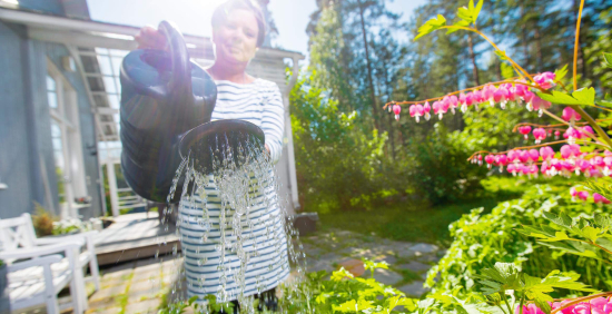 Tulee mukaan testaamaan vihreitä palveluita.