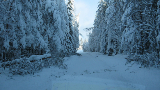 Varauduimme sähköhäiriötilanteen vuoksi nostamalla valmiutta 19.-21.11.