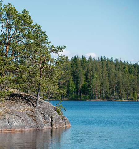Kuvituskuvassa Saimaan saaristosta.
