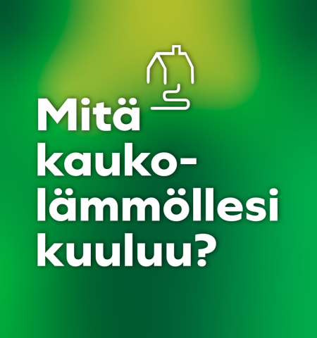 Kaukoviisa Tarkastus yrityksille