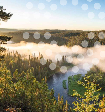 Lappeenrannan jätevesien käsittelyn ympäristövaikutusten arviointi