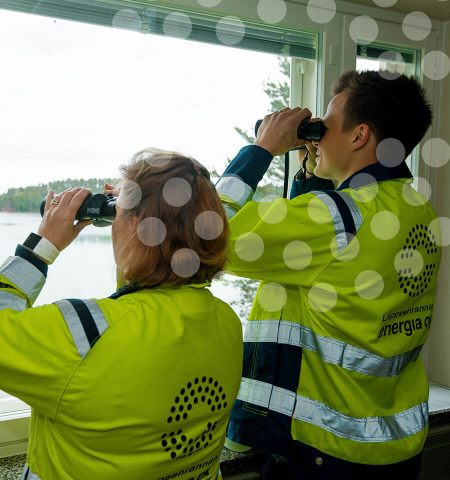 Hallituksen toimintakertomus 2017